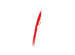Logo focus colore